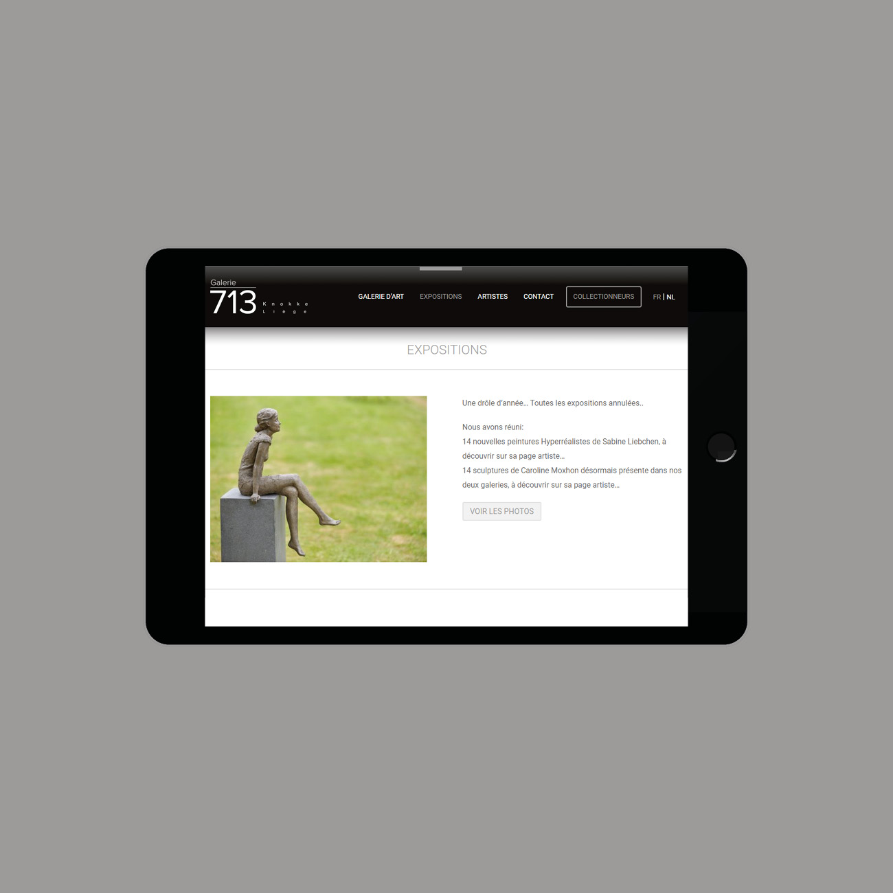 Miko Digital Agence web à Liège - Site internet de La Galerie 713