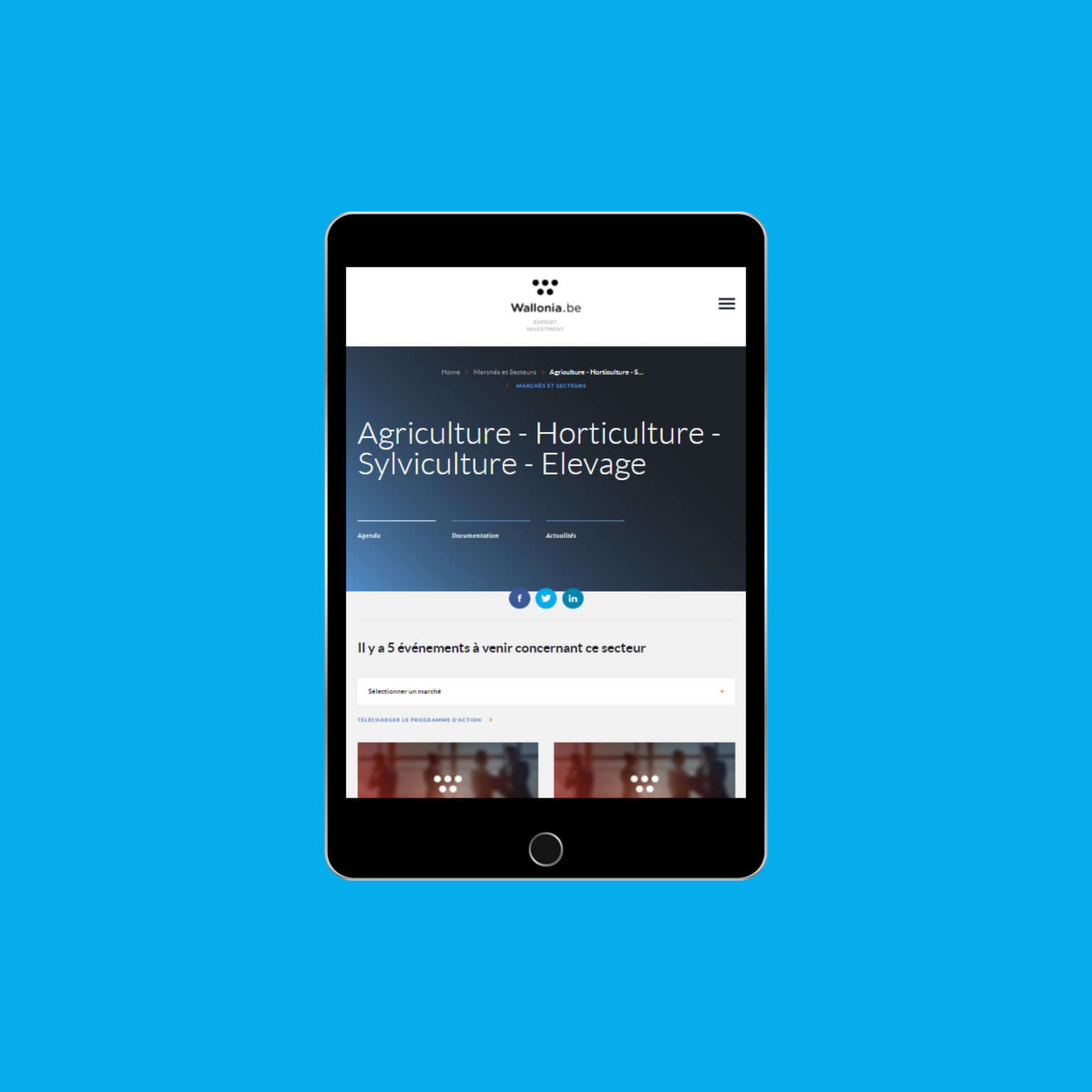 Miko Digital Agence Web à Liège - Halal Club Awex