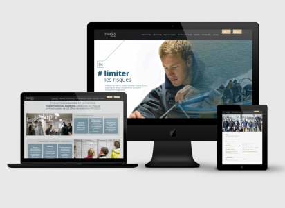 Création site web accueil Pegasus Leadership