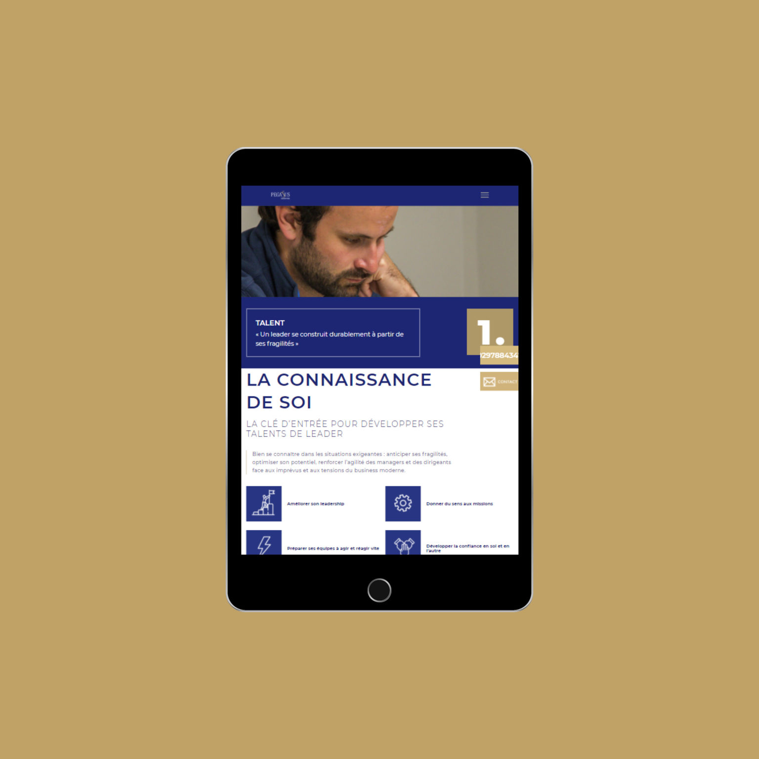 Miko Digital Agence Web à Liège - Pegasus