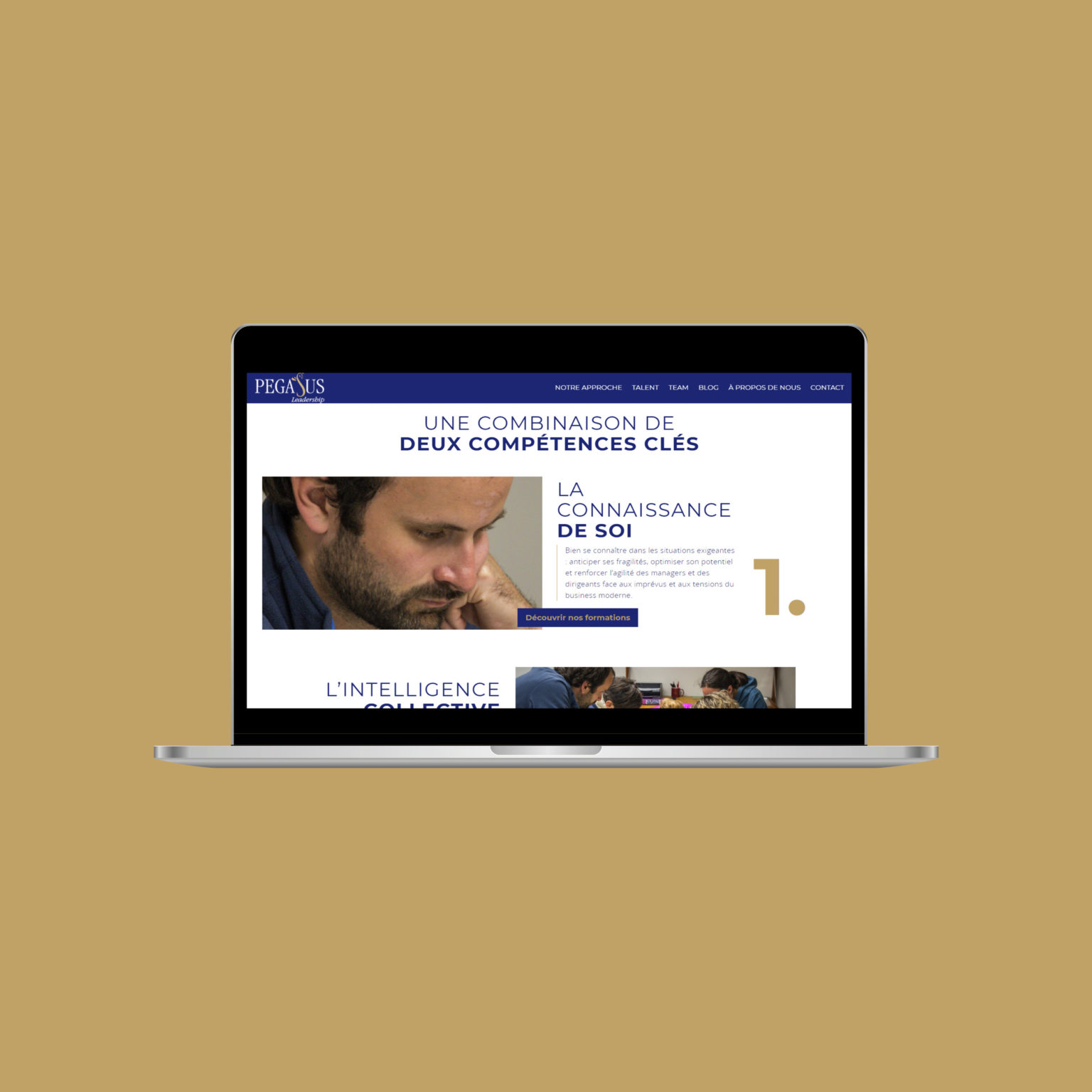 Miko Digital Agence Web à Liège - Pegasus