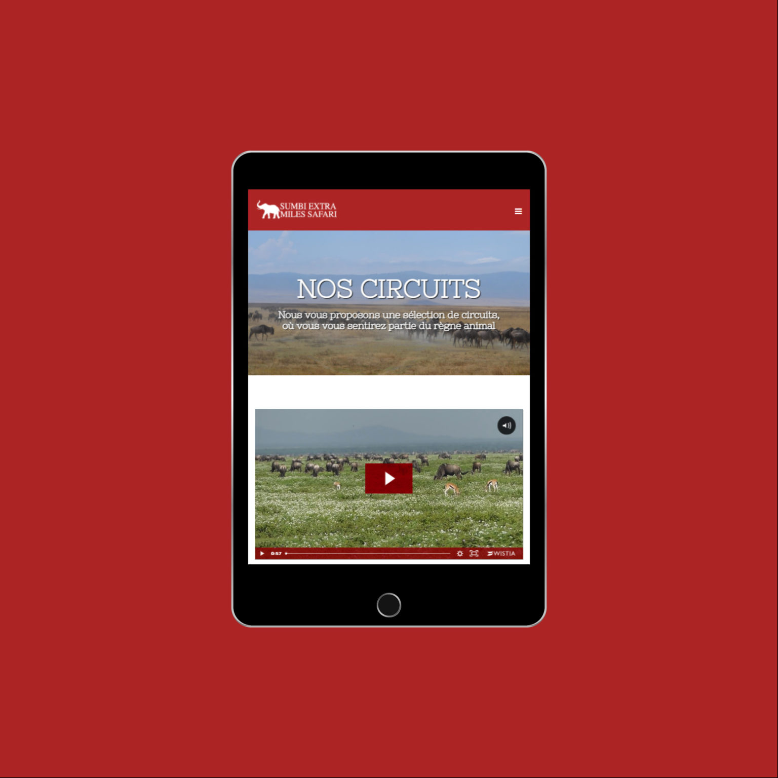 Miko Digital Agence web à Liège - Tanzanie