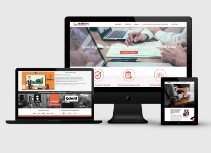 Optimisation site web Ambriva