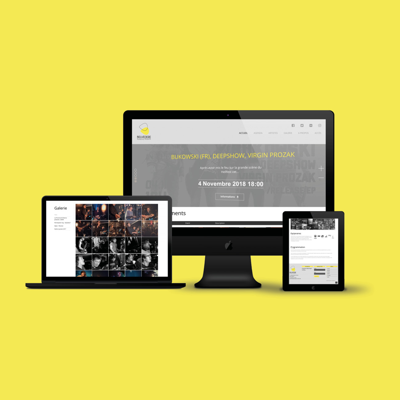Miko Digital Agence Web à Liège -Création site web Belvédère