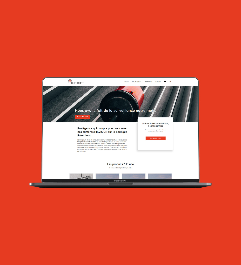 page web PointAlarm